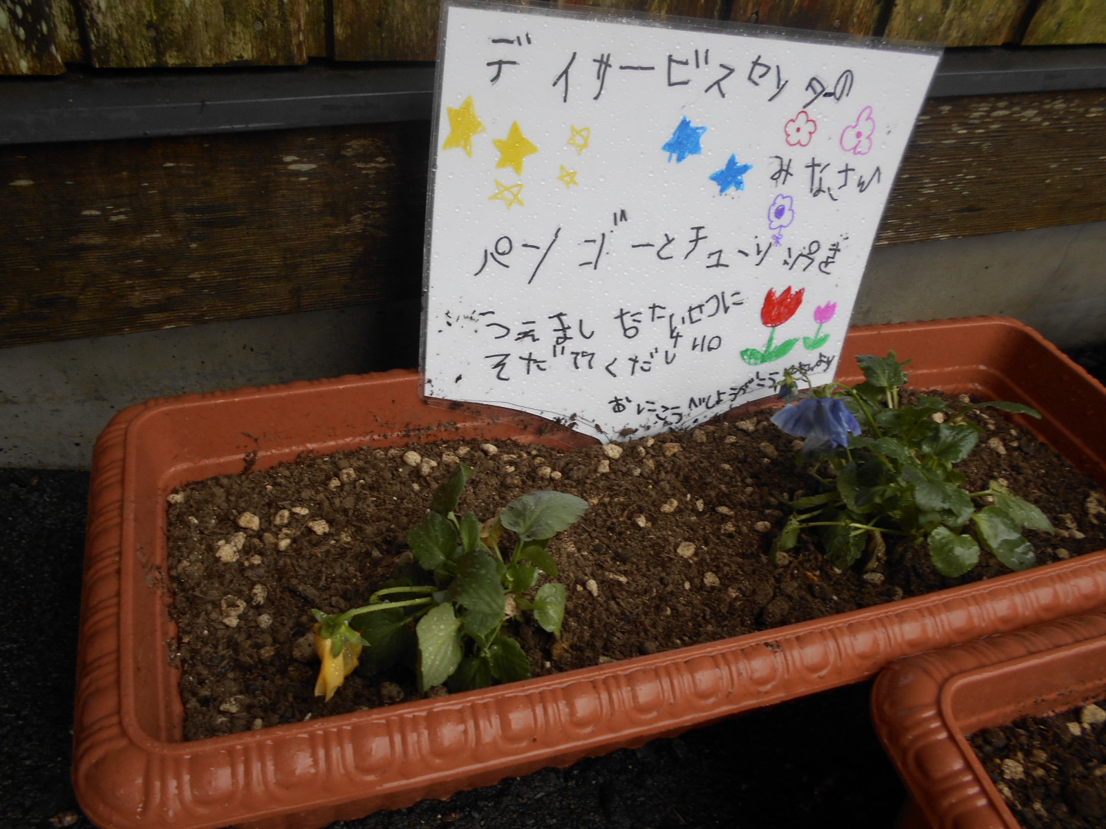 大崎市立鬼首小学校 様（鳴子） 大崎市社会福祉協議会