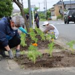 フラワーロード植栽事業を実施しました！（岩出山支所）