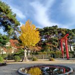 ミニドラ 紅葉見物🍁